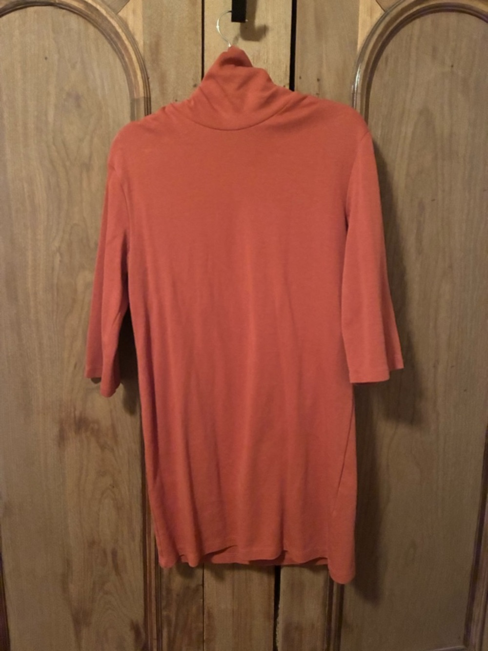 Zara Rust Turtleneck Shift Dress